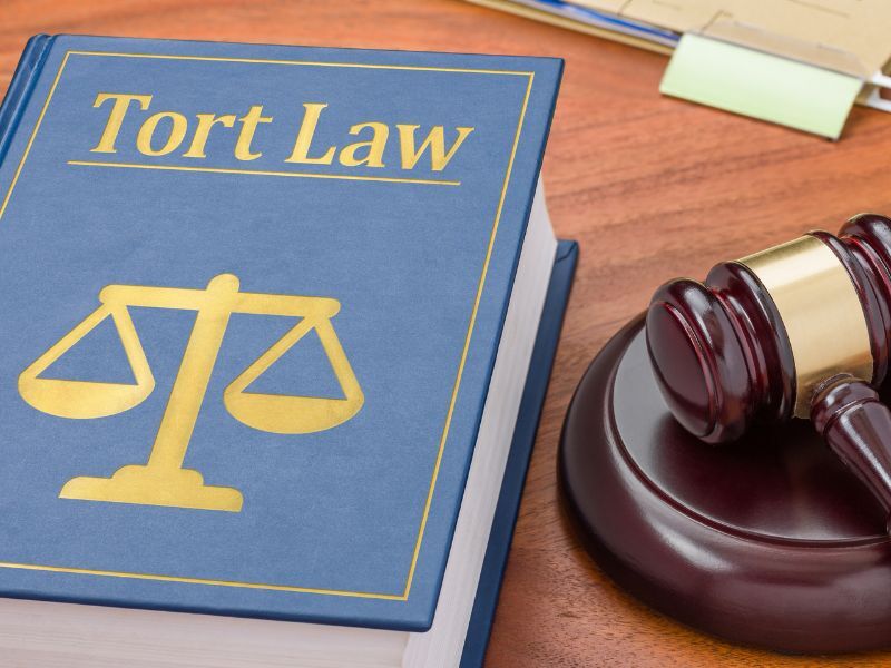 understanding tort law